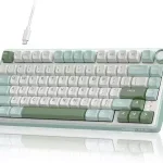 ROYAL KLUDGE RK R75 Mechanical Keyboard Wired (White-Green)